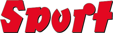 Dziennik Sport logo